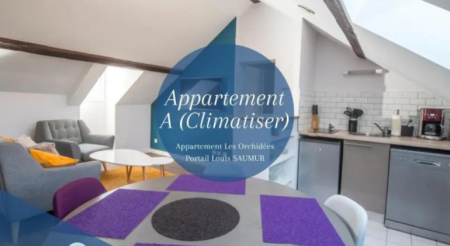 Апартаменты с 2 комнатами Appartements Les Orchidées Portail Louis Saumur