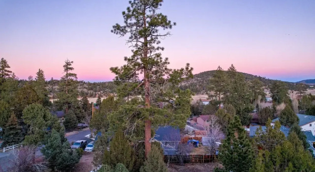 Entertainment Cabin #610, Забронировать Дом для отпуска Биг-Бэар-Сити San Bernardino Mountains