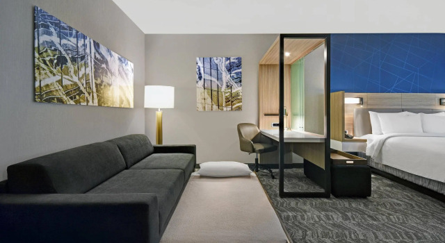 Двухместный люкс SpringHill Suites by Marriott St. Paul Arden Hills