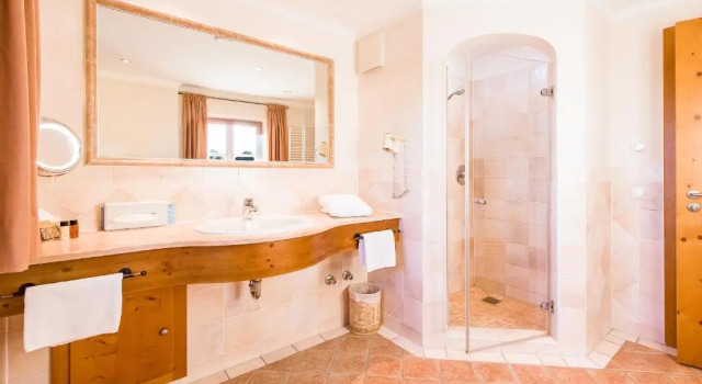 Одноместный номер Standard Hotel und Landgasthof Altwirt