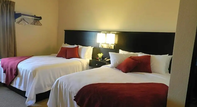 Номер Standard Black Gold Suites Tioga