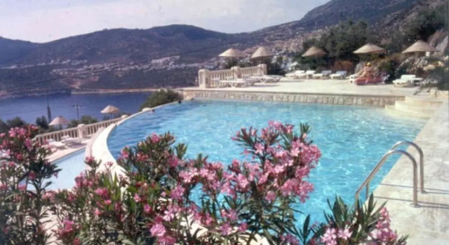 Sea view Bougainvillea 52