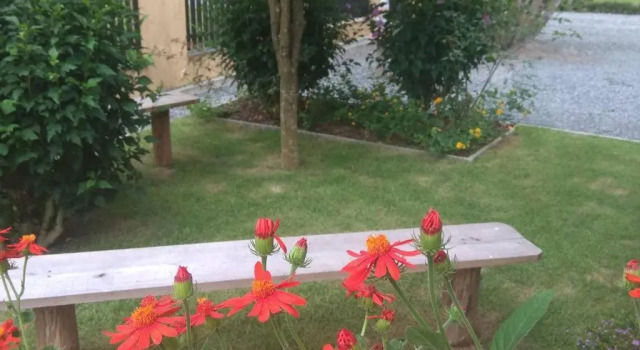 Апартаменты Weisse Rose Haus