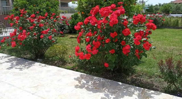 Sunny Garden House by the Sea, Prenota Hotel Hotel a Preveza con parcheggio, Parcheggio