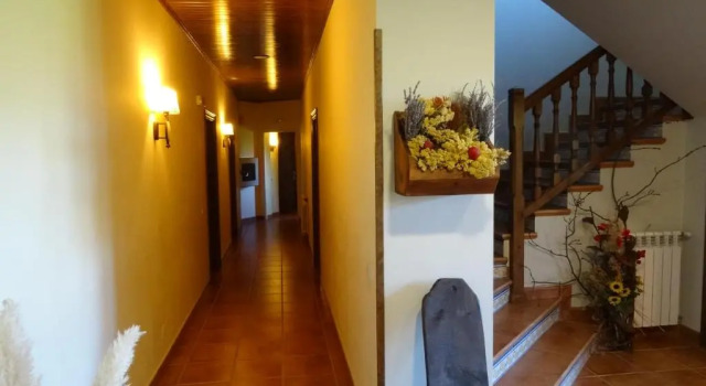 Трёхместный номер Standard Hotel Pla del Pi