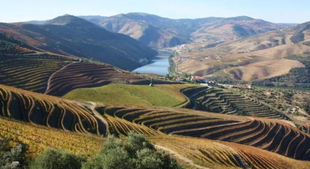 Коттедж Douro House