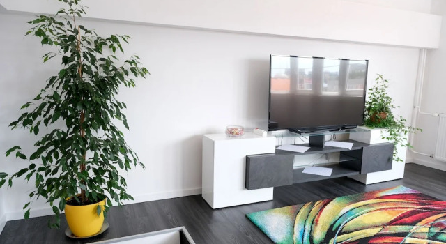 Oval Main Square Apartment