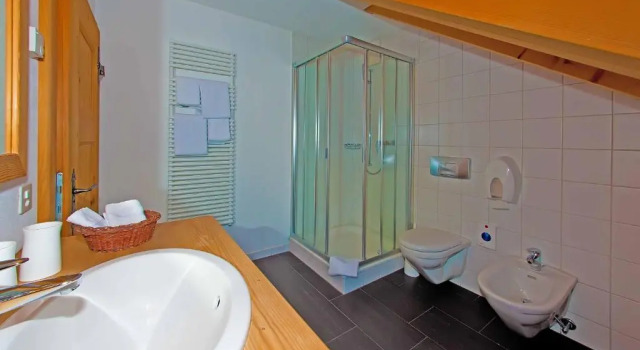 Одноместный номер Standard с красивым видом из окна Gasthaus & Hotel Berninahaus