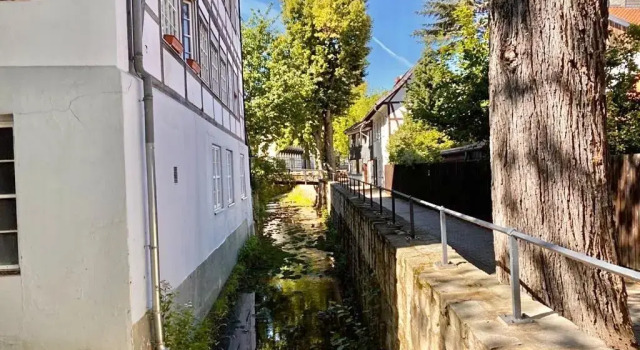 Коттедж Ferienhaus Zur Abzuchtinsel