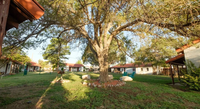 Deluxe kamer Antelope Lodge