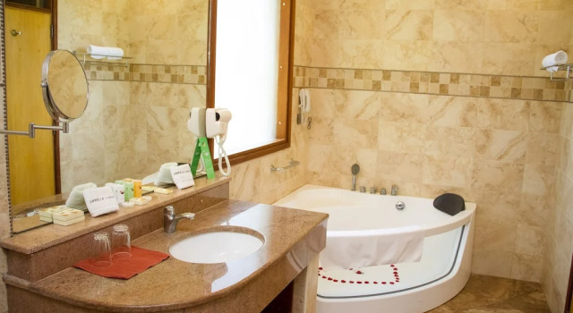 Номер Business Sawela Lodge