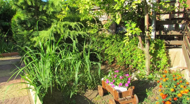 Guest House Dvata Bora, Забронировать Гостевой дом Золотые Пески 