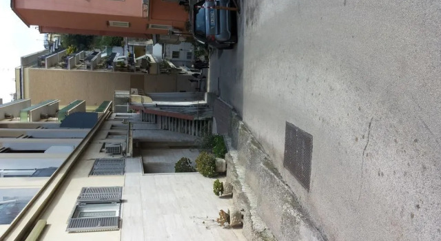 Franca
