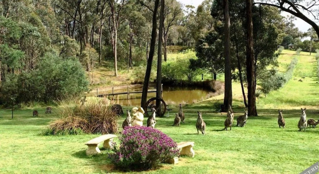 Countryside Connections Tranquil Studio, Varaa Hotelli Hepburn Springs 