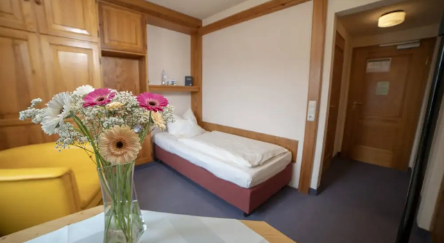 Одноместный номер Standard Hotel Luitpold am See