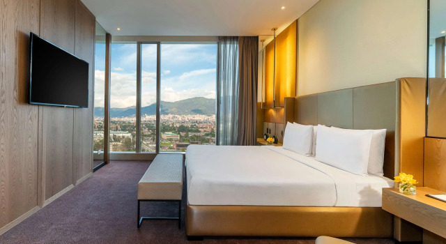 Двухместный люкс Grand Grand Hyatt Bogota