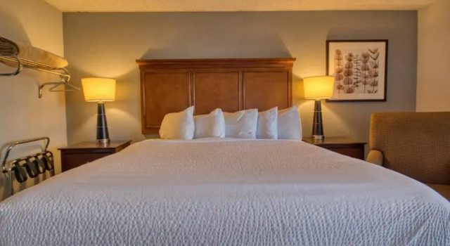 Номер Deluxe Tremont Lodge & Resort