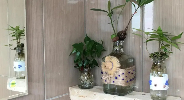 Семейный номер Standard с балконом Great Nature Villa