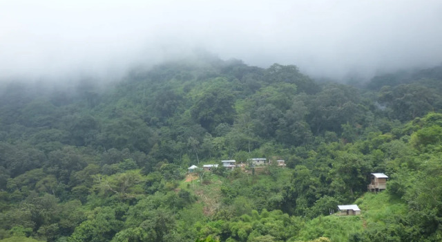 Кровать в общем номере Hostal Alto de la Montaña