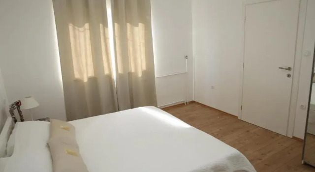 Апартаменты c 1 комнатой Apartment Udovičić