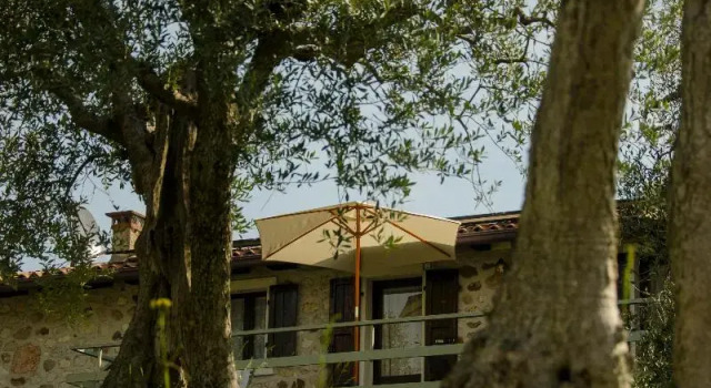 Апартаменты Residence San Michele