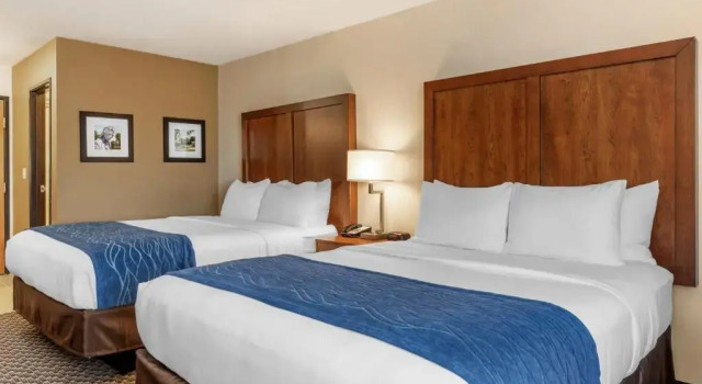 Четырёхместный номер Standard Comfort Inn & Suites near Route 66