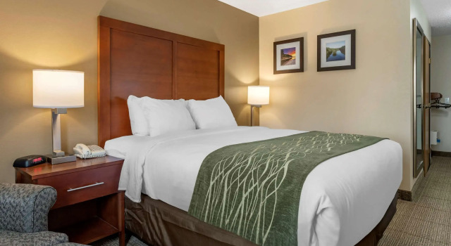 Двухместный номер Standard Comfort Inn & Suites Dimondale - Lansing