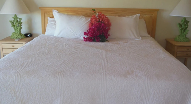 Номер Economy с балконом Winter Haven Inn