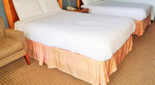 Camera quadrupla Standard Hotel Elev8