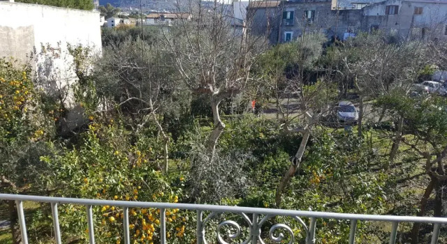Семейный номер Standard Domus San Vincenzo