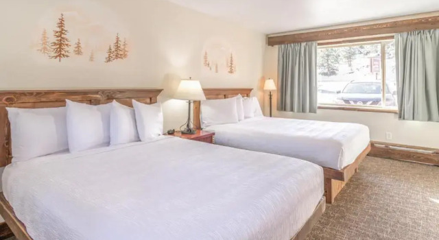 Четырёхместный номер Standard с видом на реку Murphys River Lodge