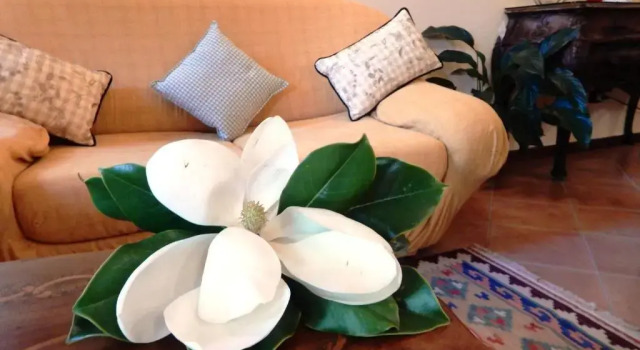 Bed&Breakfast La Siepe, Забронировать Отель Отели Пьемонта с бассейном, Бассейн