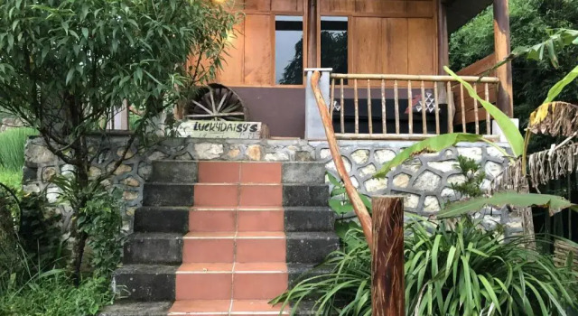 Люкс Luckydaisy Buffalo House