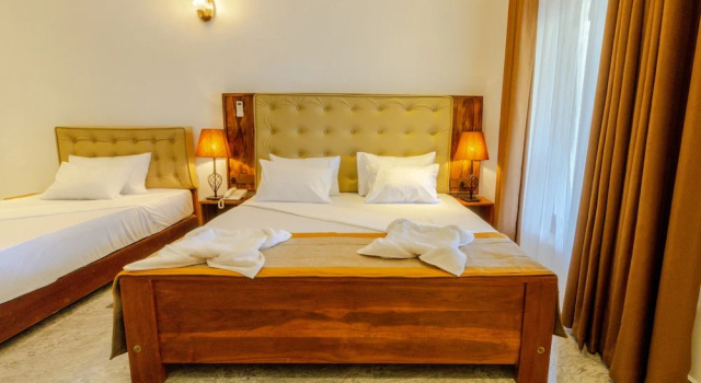 Номер Deluxe c 1 комнатой Elysia Sigiriya Hotel