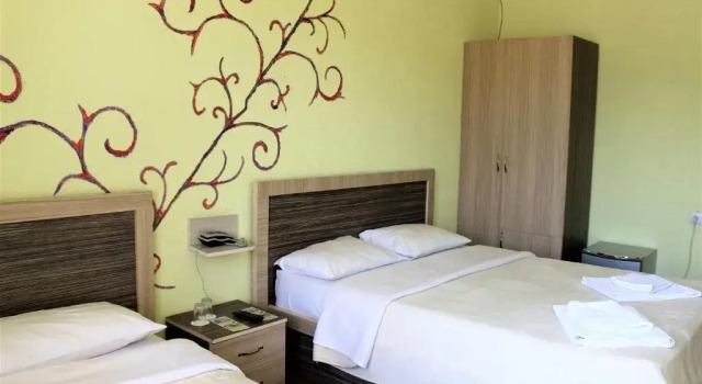 Трёхместный номер Standard Hotel Vakhtanguri