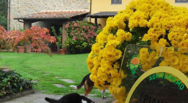 Agriturismo I Pianacci