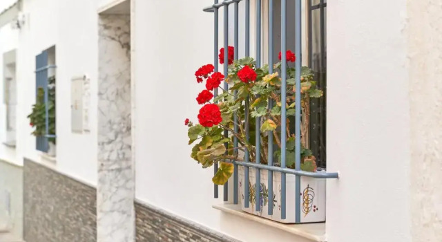 Apartment 250 M from the beach, Đặt Căn hộ Almuñécar Costa Tropical