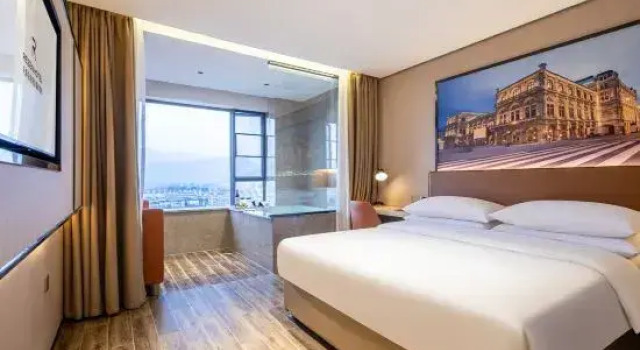 Двухместный люкс Business Timson Rezen Hot Spring Hotel
