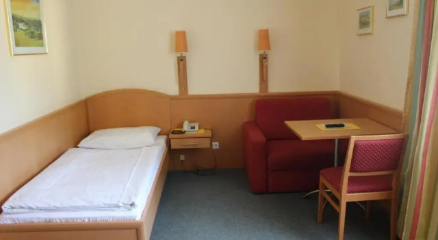 Одноместный номер Standard Hotel Ganslhof