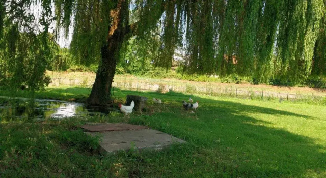 Двухместный номер Standard Agriturismo Cascina Poscallone