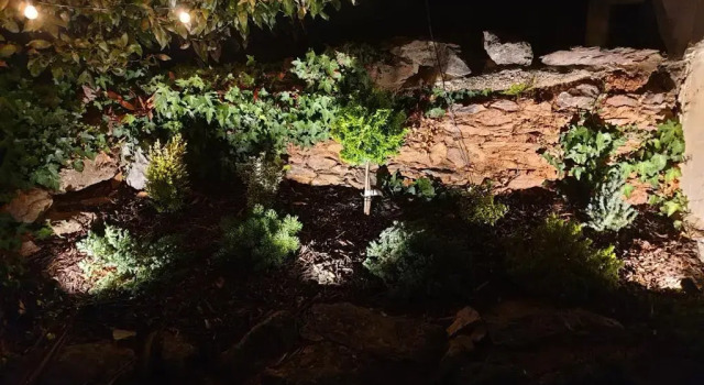 Апартаменты c 1 комнатой Appletorre House Holiday Flats
