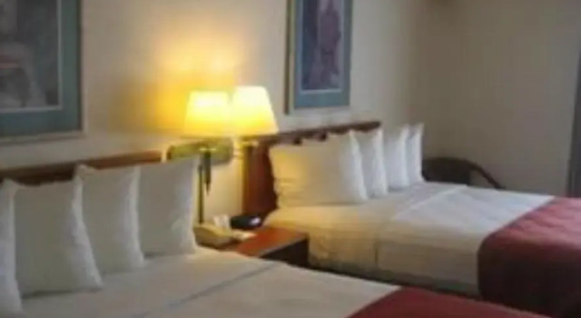 Четырёхместный номер Standard Catalina Inn