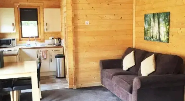 Одноместный номер Standard Forest Edge Motel