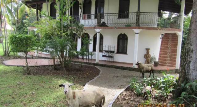 Апартаменты Deluxe с балконом и с красивым видом из окна spirit of jungle lodge
