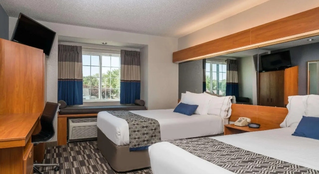Четырёхместный номер Standard Microtel Inn & Suites by Wyndham Springfield