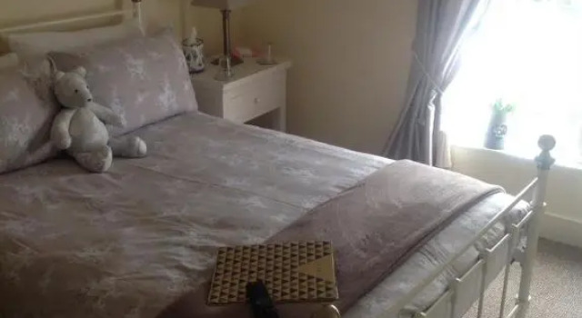 Номер Deluxe Lillys Pad