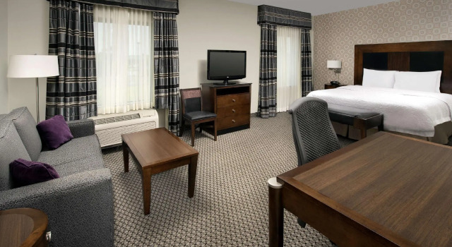 Двухместная студия Hampton Inn & Suites Athens-I-65 (Huntsville Area)