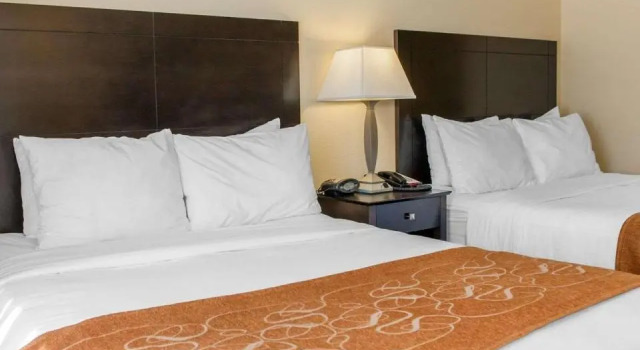 Четырёхместный номер Standard Comfort Suites French Lick