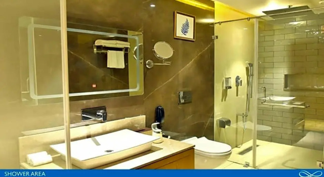 Двухместный полулюкс Sarovar Portico Morbi