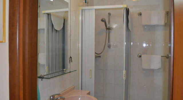 Двухместный номер Standard Hotel Orchidea